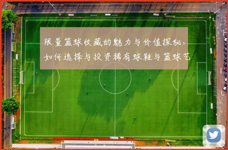 限量篮球收藏的魅力与价值探秘，如何选择与投资稀有球鞋与篮球艺术品