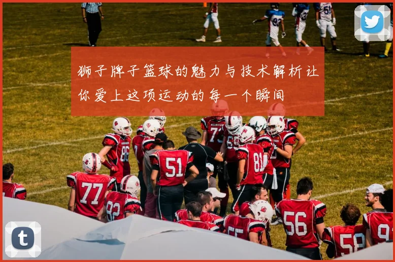狮子牌子篮球的魅力与技术解析让你爱上这项运动的每一个瞬间