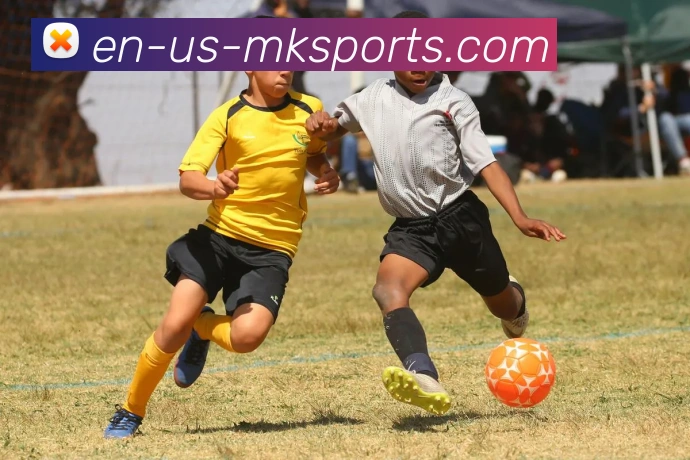 MK体育平台平台生态图